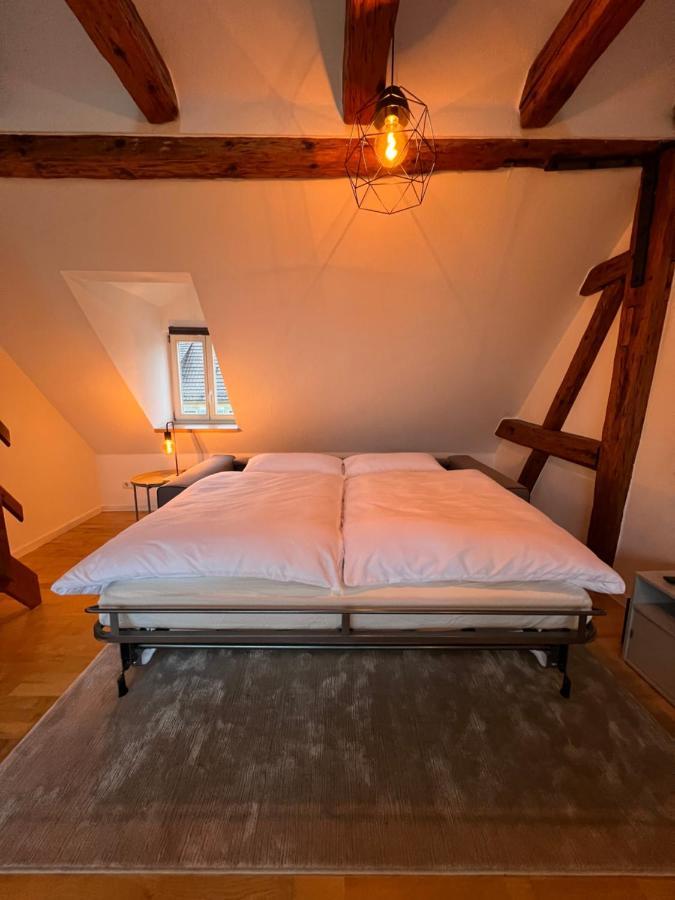 Ludwigshome Zentralste Lage, Klima, Smarttv, Terrasse Ludwigsburg Zewnętrze zdjęcie